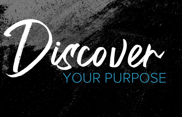 DNA-Discover DNA-Discover